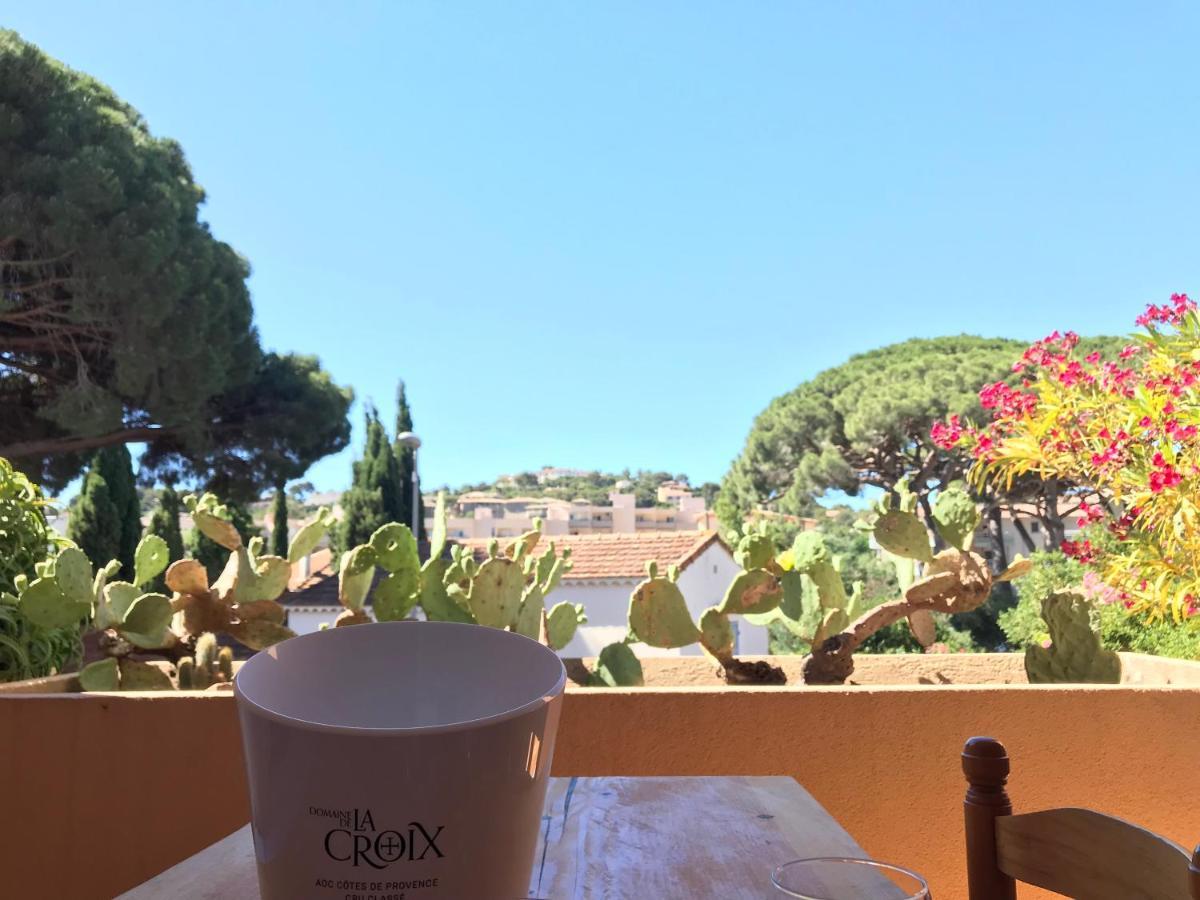 Cosy Deux Pieces Pour 4 Personnes En Centre Ville Classe 滨海卡瓦莱尔 外观 照片